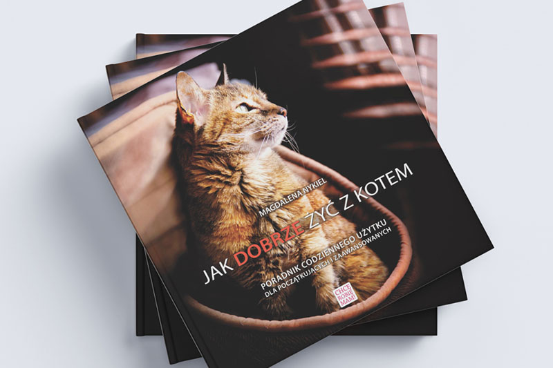 Najlepsza książka o kotach, a w niej moje zdjęcia kotów