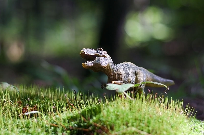 Szczerbaty dinozaur – bajka dla dzieci na Dzień Dziecka
